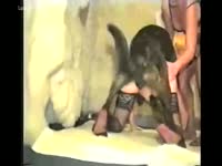 Blonde hotwife acquires fucked by police dog